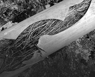 Blocked Drains Carrum Downs