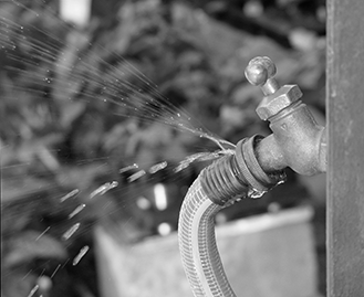 Leaking Tap Repairs Carrum Downs